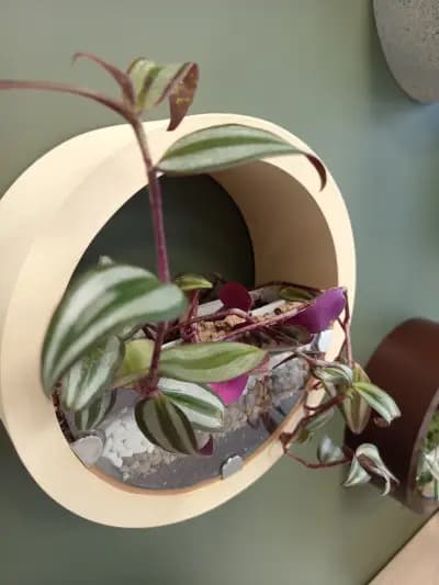 ArthomeDecor