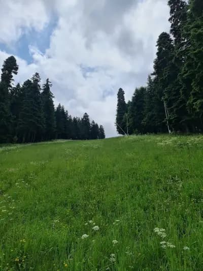 Изоставена ски шанца Боровец