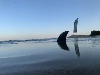 Устие на р. Камчия