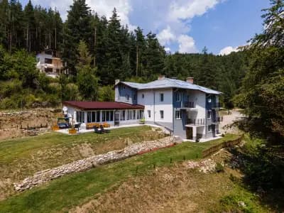 Allena Hills
