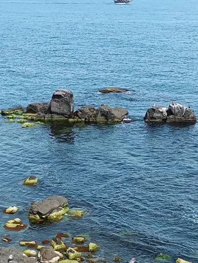 Панорамна гледка