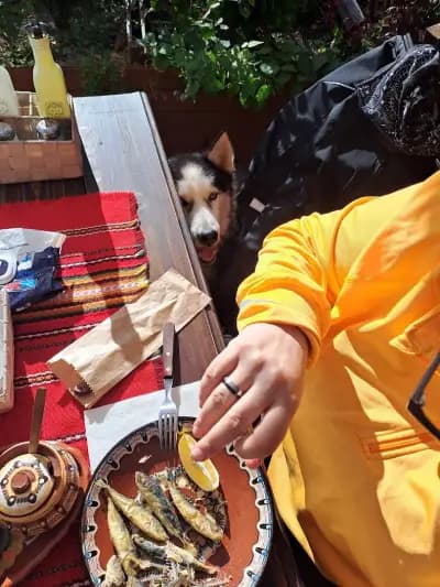 Ресторантче