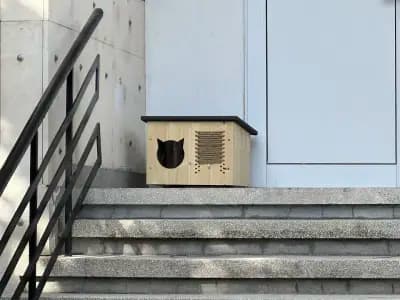 Котаракът Тинто