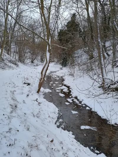 Георгиева чешма
