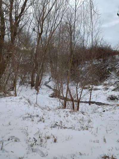 Георгиева чешма