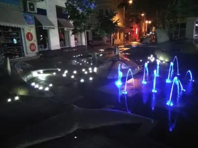 Whale Fountain