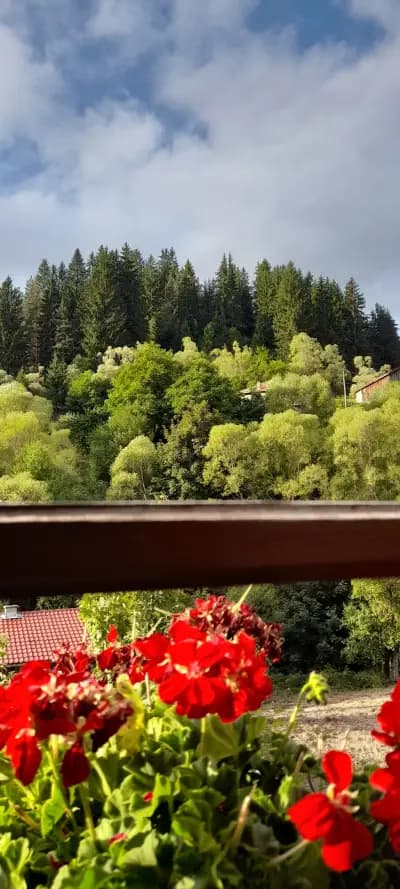 Хотел "Дени", Триград