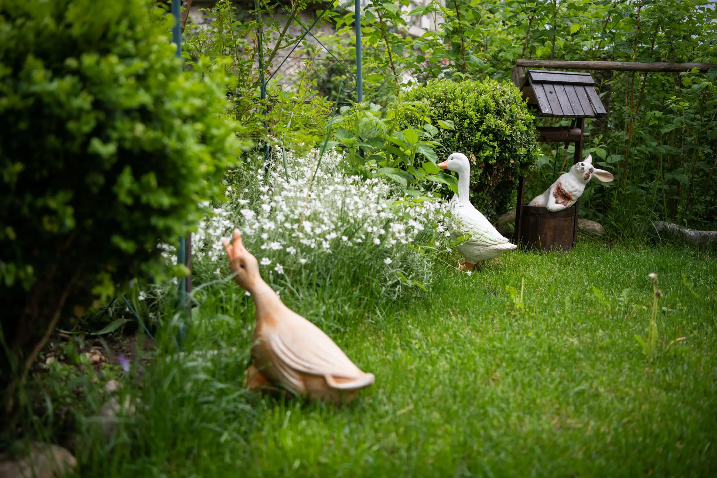 Къща за гости "Вила Роси"