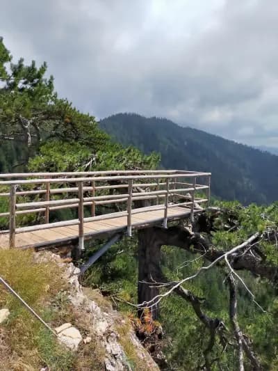 Къща за гости „Шанови“ – Гьоврен