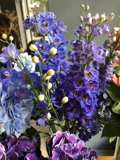Tati Flowers