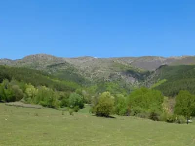 Еленска базилика