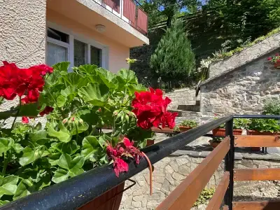 Къща за гости Дара с.Вишнево