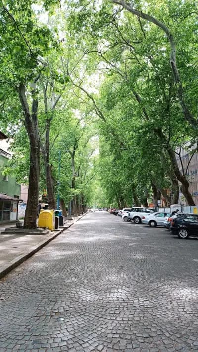 Платен паркинг