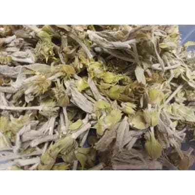 Магазин за Кафе, Чай и Билки