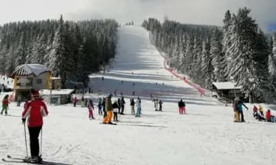 Alpine Relax
