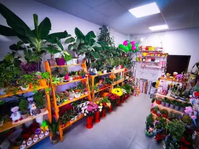 Цветарски магазин MonMar art & flowers