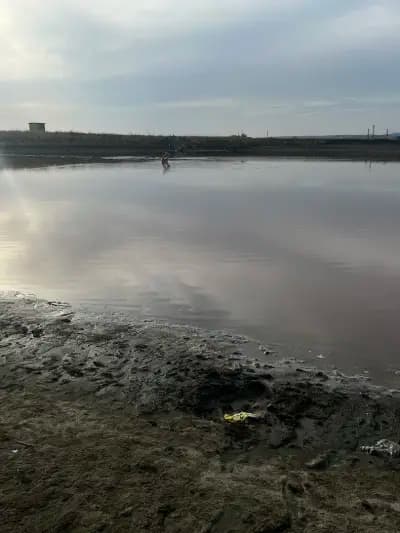 Salt Sea