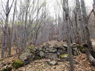 Красива гледка