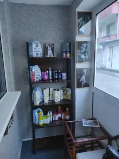 Груминг студио Mon Amie І Цялостен груминг І Почистване на зъбен камък без упойка І Спа процедури І Озонова терапия
