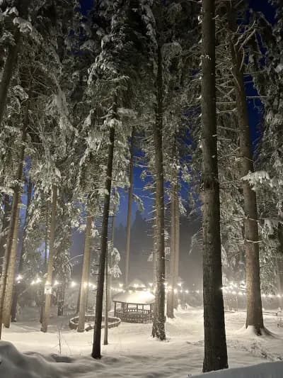 Еко пътека "Песако"