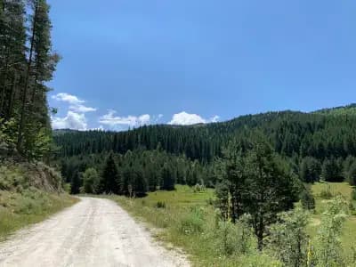Праисторическо скално светилище Козия камък