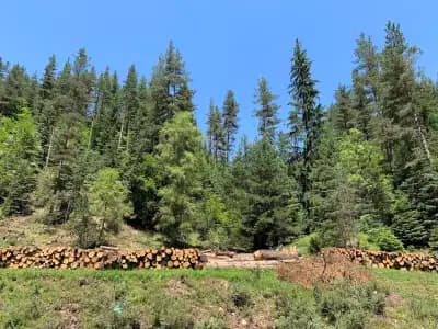 Праисторическо скално светилище Козия камък