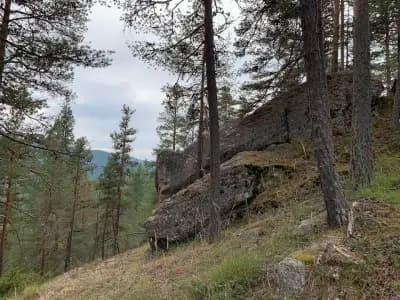 Праисторическо скално светилище Козия камък