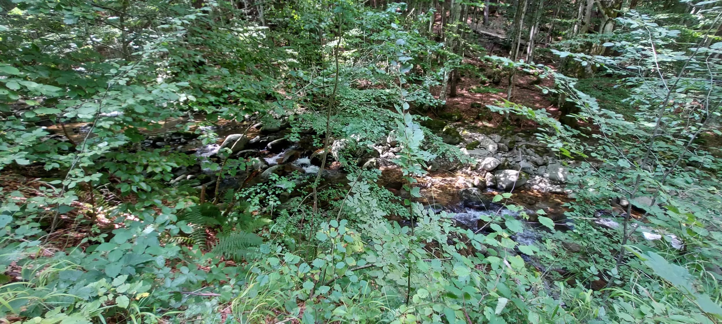 еко пътека "Видимско пръскало"