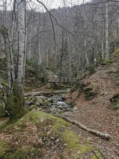 еко пътека "Видимско пръскало"