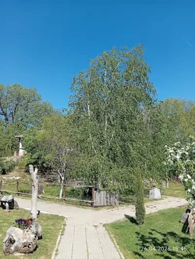 Храм ,,Свети Спас''
