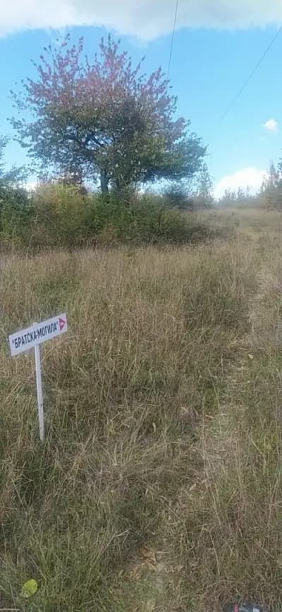 Паметник Братска Могила /Гроба