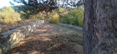 Паметник Братска Могила /Гроба