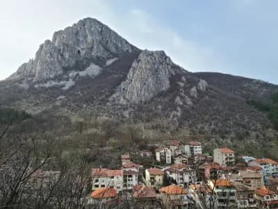Велоалея
