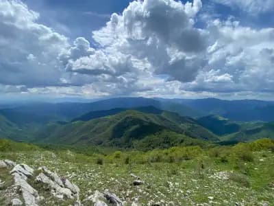 Връх Бук