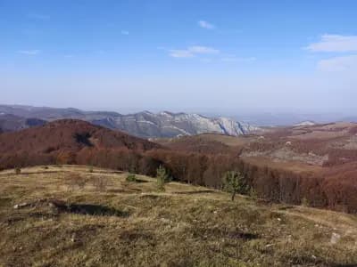 Връх Бук