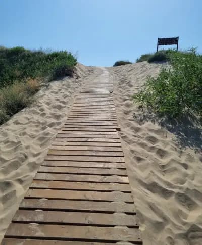 Wild sand dunes Sunny Beach