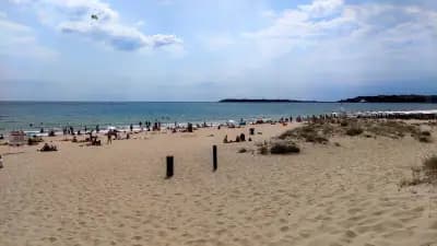 Wild sand dunes Sunny Beach
