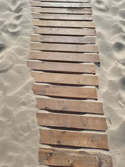 Wild sand dunes Sunny Beach