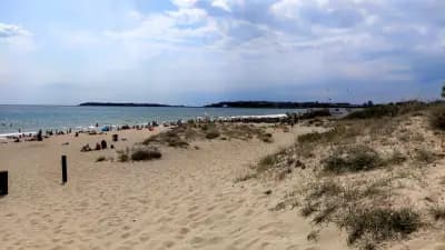 Wild sand dunes Sunny Beach