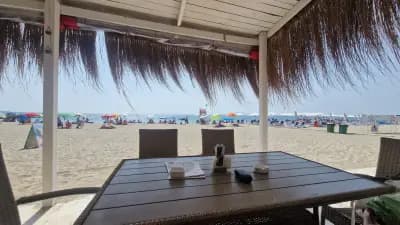 Bacardi Bar