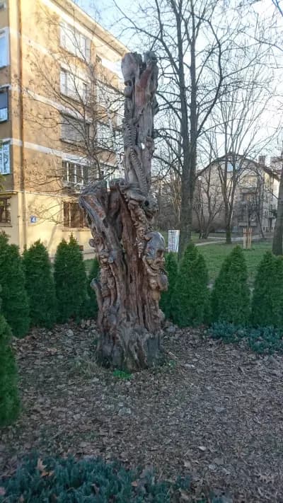 Дървото на Философа