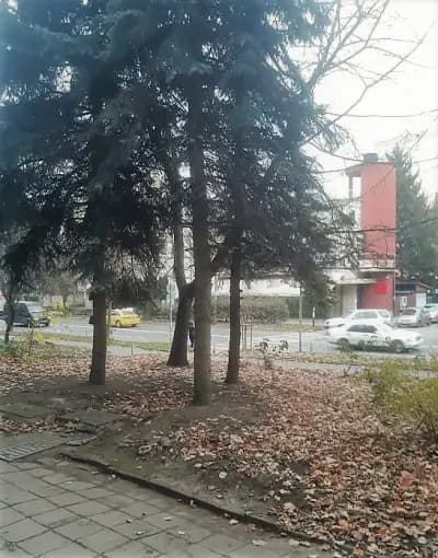 Адвокатска кантора адвокати Янкова и Боянова