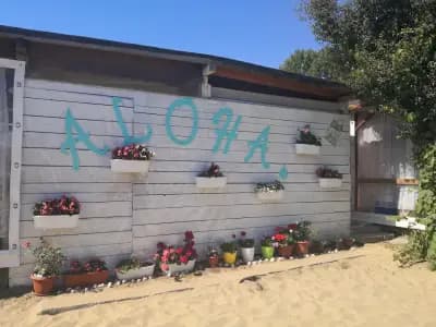 Каравани Aloha