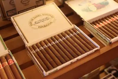 LA CASA DEL HABANO INTERCONTINENTAL SOFIA