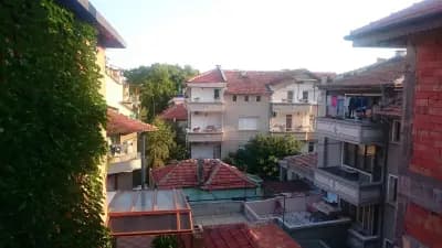 Дивата лоза