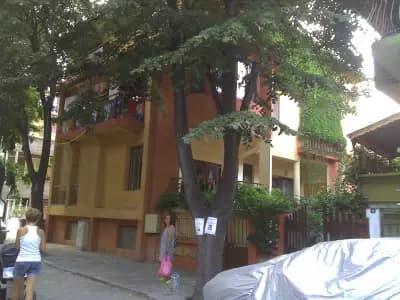 Дивата лоза