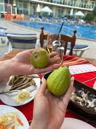 Restaurant Sunny Holiday