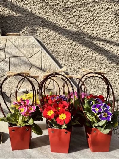 Цветарницата на Катя/ Katya's Flower Shop