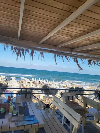 New del mar