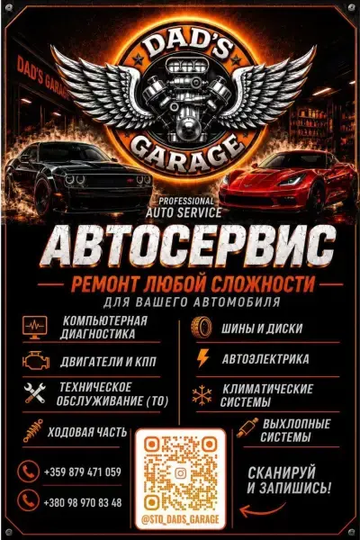 Dad's Garage АВТОСЕРВИС СТО ШИНОМОНТАЖ СОЛНЕЧНЫЙ БЕРЕГ